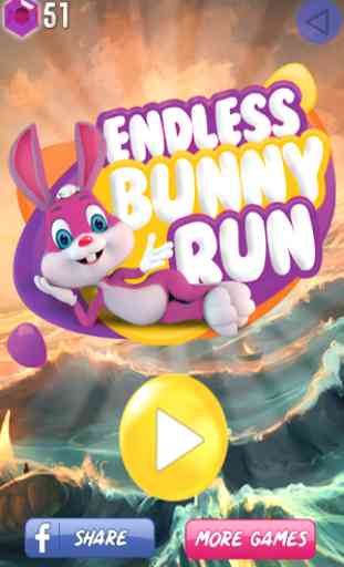 Rabbit Run 1