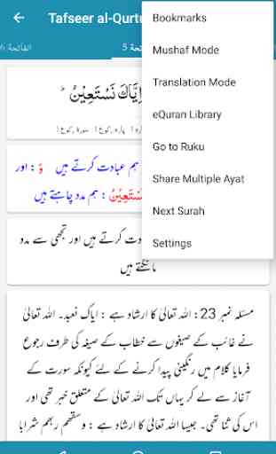 Tafseer al-Qurtubi - Urdu Translation and Tafseer 4