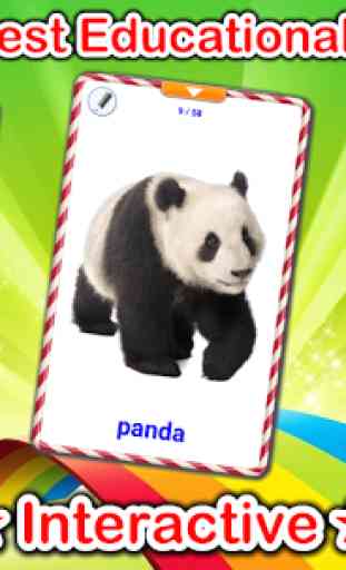 Animals Cards  (Learn Languages) 1