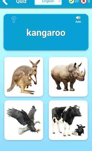 Animals Cards  (Learn Languages) 3