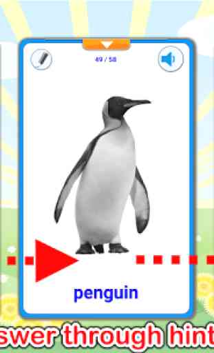 Animals Cards  (Learn Languages) 4