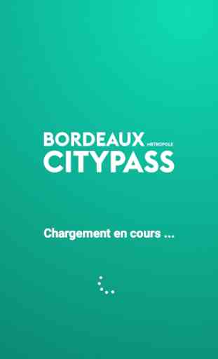 Bordeaux City Pass 1