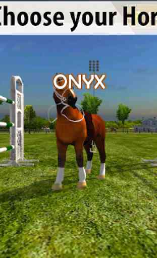 Equestrian: Horse Racing 3