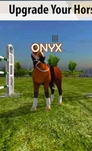 Equestrian: Horse Racing 4