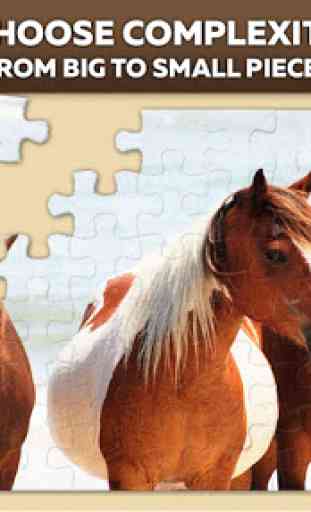 Horse jigsaw puzzles 1