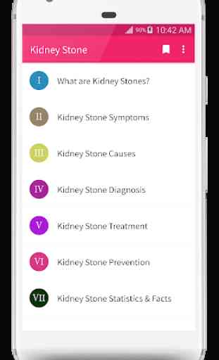Kidney Stone Symptoms & Treatment 1