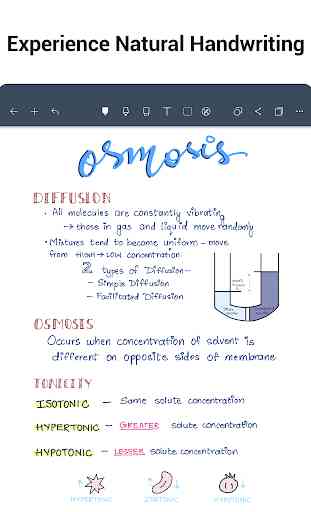 Noteshelf — Note Taking | Handwritten | PDF Markup 3