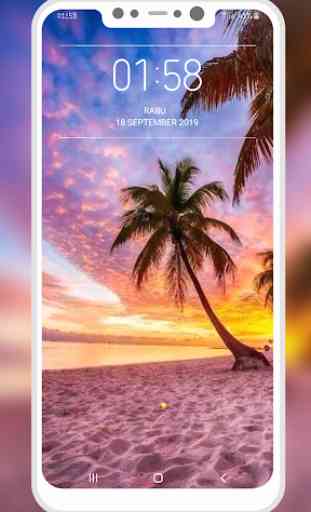 Palm Tree Wallpapers 3