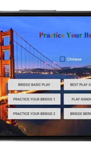 Practice Your Bridge 1