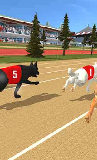 Dog real Racing  Derby Tournament simulator 2
