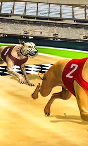 Dog real Racing  Derby Tournament simulator 3