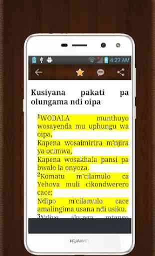 Holy Bible (BL92) Buku Lopatulika 1992 Chichewa 4