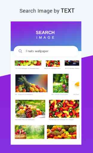 Reverse Search by Image & Text 2