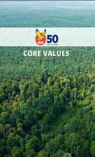 RGE Core Values 1