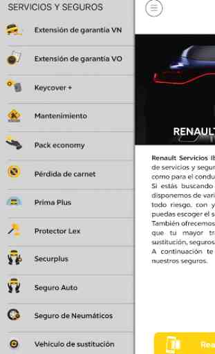RSI Renault 2