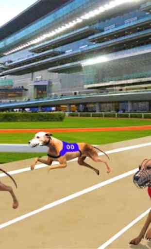 Ultimate Dog Racing 1