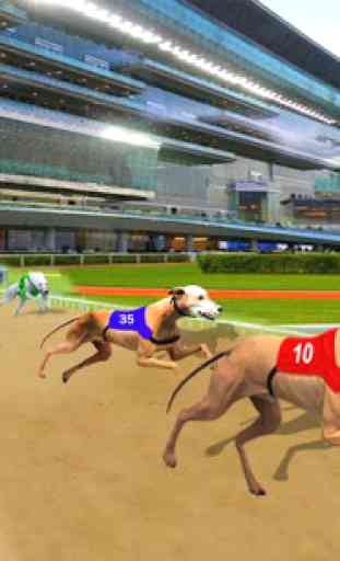 Ultimate Dog Racing 2