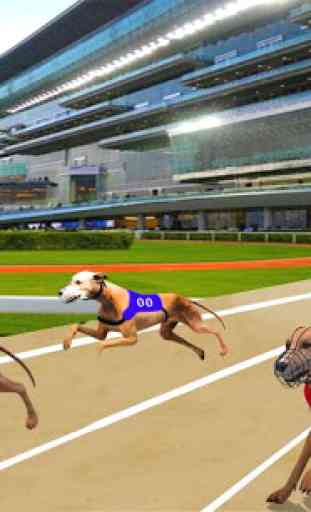 Ultimate Dog Racing 4