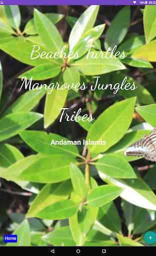 Andaman Guide. Travel Guide Book - Andaman Islands 4
