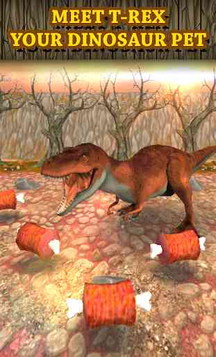 Animale virtuale animale dinosauro: T-Rex 4