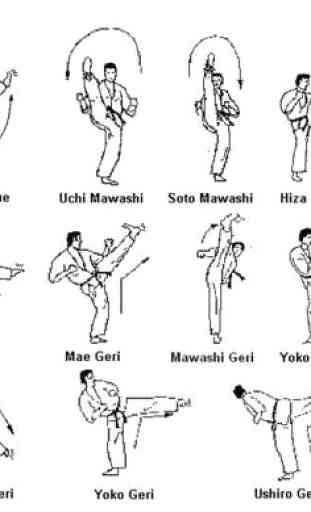 Apprendimento del movimento di base del Taekwondo 2