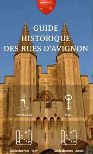 Avignon Guide Historique 1