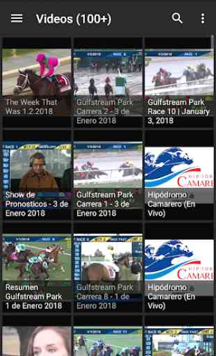 Cavallo Notizie Racing Live 3