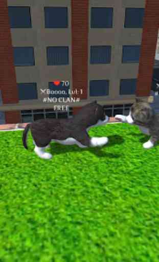 Cute Cat And Puppy World 2