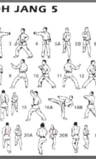impara facilmente le tecniche del taekwondo 3