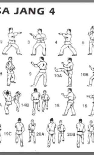 impara facilmente le tecniche del taekwondo 4
