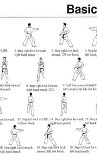 Impara facilmente le tecniche del taekwondo 1