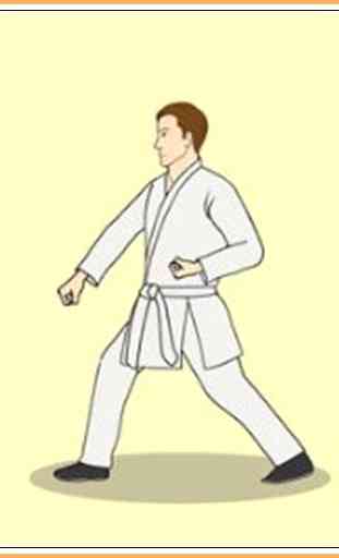 Impara il Taekwondo 2
