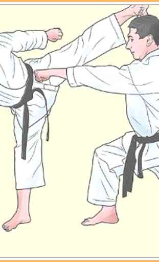 Impara il Taekwondo 3