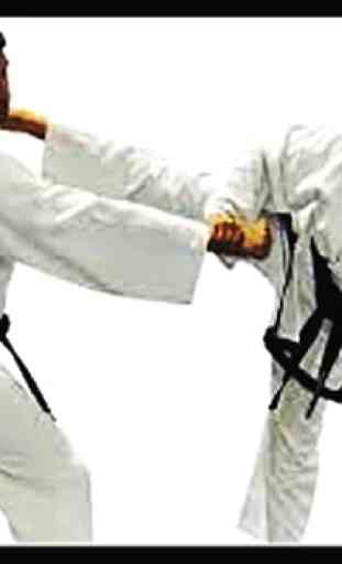 Impara il Taekwondo, le arti marziali, l'autodifes 1