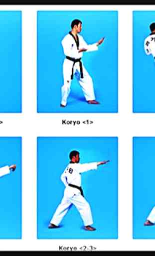 Impara il Taekwondo, le arti marziali, l'autodifes 2
