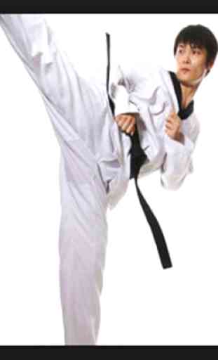 Impara il Taekwondo, le arti marziali, l'autodifes 3