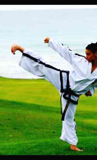 Impara il Taekwondo, le arti marziali, l'autodifes 4