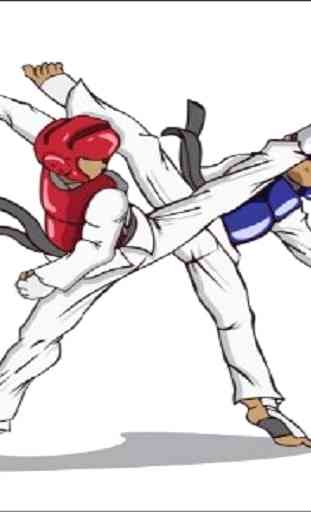 movimento taekwondo 3