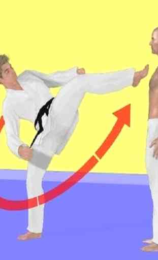 movimento taekwondo 4