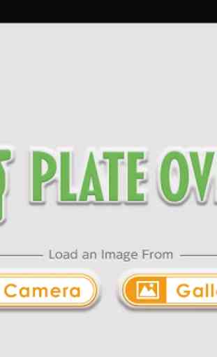 Plate Overlay 3