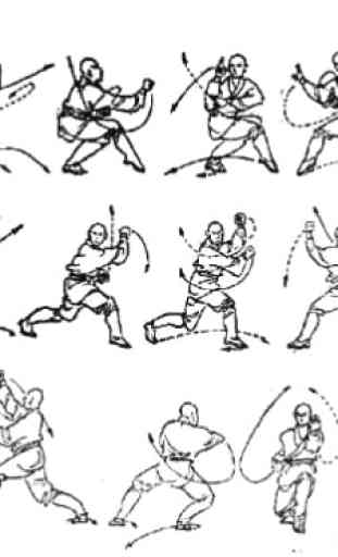 Tecnica Wing Chun 2