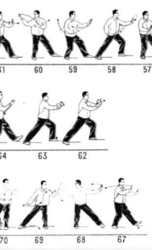 Tecnica Wing Chun 4