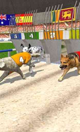 Torneo di corse di cani reali 1