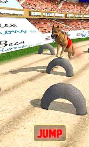 Torneo di corse di cani reali 2