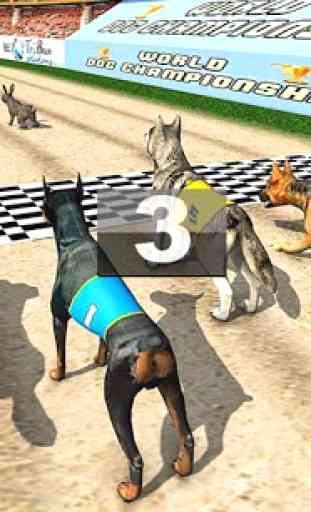 Torneo di corse di cani reali 3