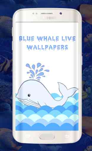 Balena blu Live Wallpapers-animazioni balene 1