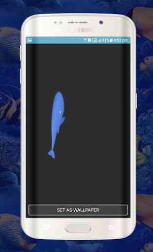 Balena blu Live Wallpapers-animazioni balene 3