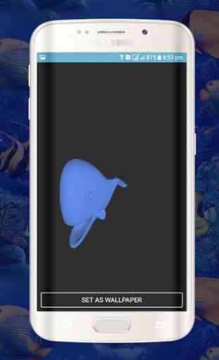 Balena blu Live Wallpapers-animazioni balene 4