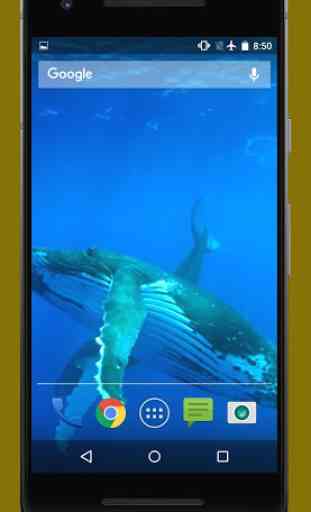 Blue Whale Live Video Wallpapers 1