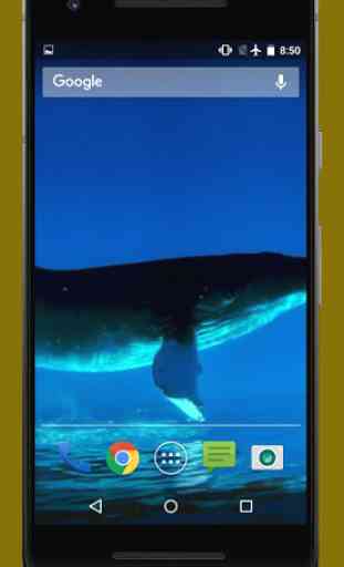Blue Whale Live Video Wallpapers 3
